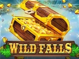 Wild Falls